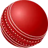 cricket-ball